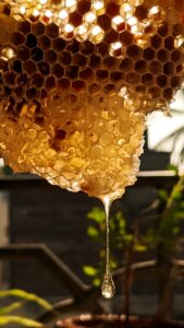 Bienenwachs entweder von eigenem Bienenfarm oder einem Imker.